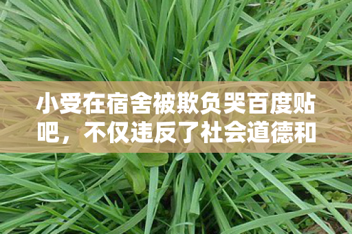 而且可能对个人和社会造成负面影响图片