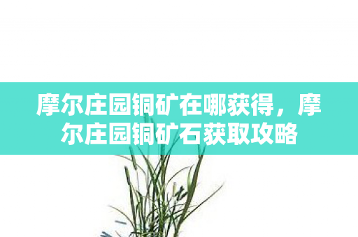 摩尔庄园铜矿石获取攻略图片