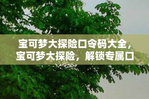 宝可梦大探险口令码大全图片