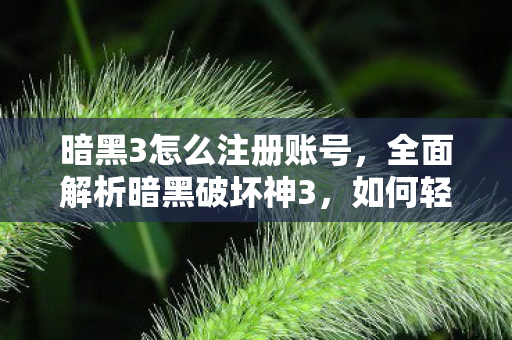 全面解析暗黑破坏神3图片