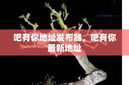 吧有你地址发布器图片