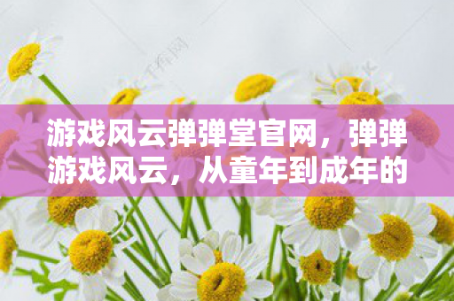 从童年到成年的经典回忆图片