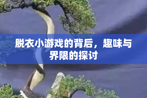 脱衣小游戏的背后图片