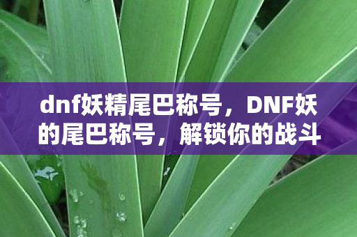 dnf妖精尾巴称号图片