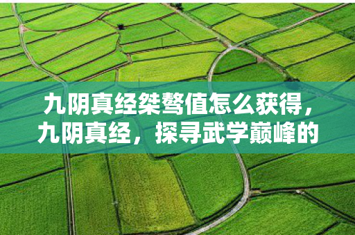 九阴真经桀骜值怎么获得图片