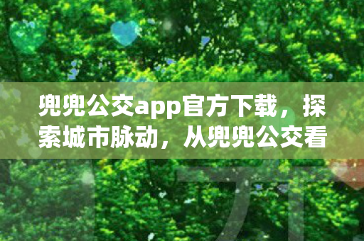 从兜兜公交看公共交通的变革图片