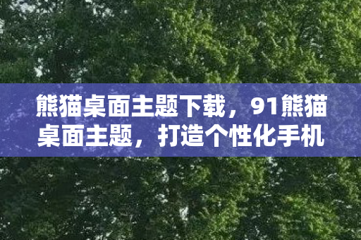 打造个性化手机界面的艺术之旅图片