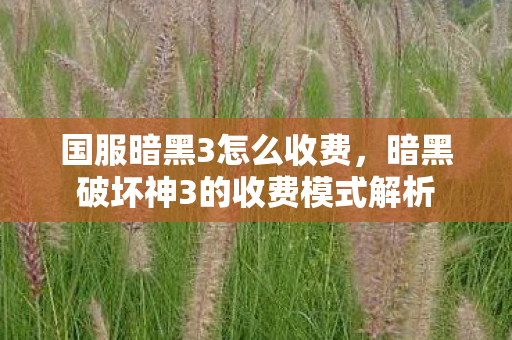 国服暗黑3怎么收费，暗黑破坏神3的收费模式解析