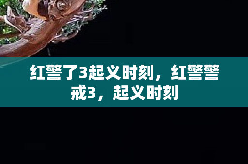 红警了3起义时刻图片