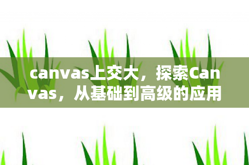 从基础到高级的应用指南图片