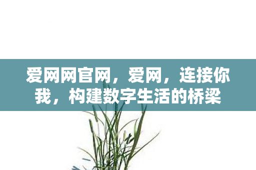 构建数字生活的桥梁图片