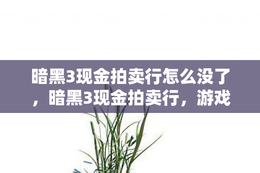 暗黑3现金拍卖行怎么没了，暗黑3现金拍卖行，游戏经济的新篇章