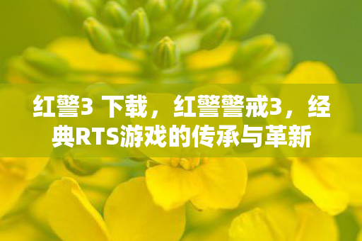 经典RTS游戏的传承与革新图片