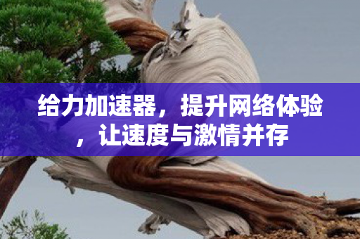 让速度与激情并存图片