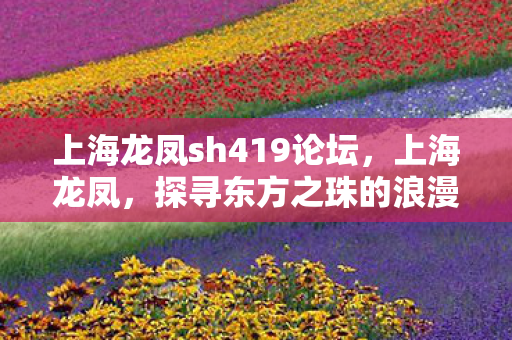 上海龙凤sh419论坛图片