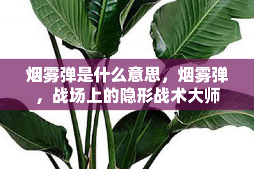 战场上的隐形战术大师图片