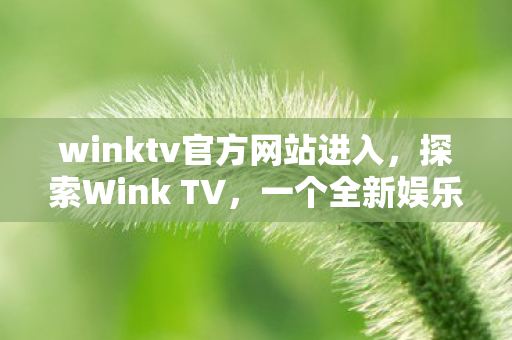 winktv官方网站进入图片