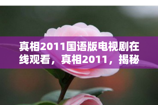 真相2011国语版电视剧在线观看图片