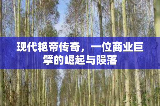 一位商业巨擘的崛起与陨落图片