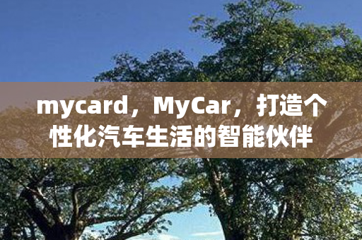 打造个性化汽车生活的智能伙伴图片