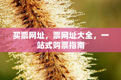 一站式购票指南图片