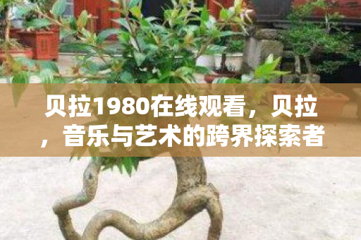 音乐与艺术的跨界探索者图片