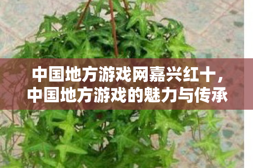 中国地方游戏的魅力与传承图片