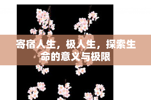 探索生命的意义与极限图片