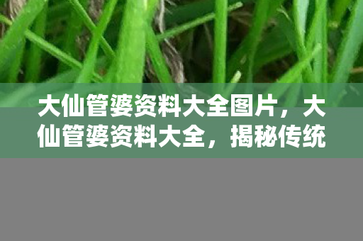 揭秘传统智慧与民间信仰的交汇图片