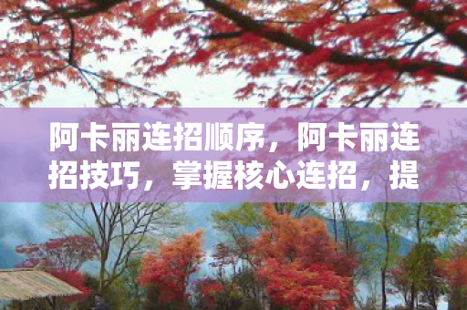 阿卡丽连招顺序图片