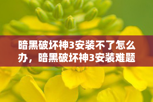 暗黑破坏神3安装不了怎么办，暗黑破坏神3安装难题解析及解决方案