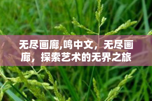 探索艺术的无界之旅图片