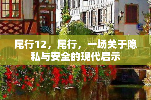 一场关于隐私与安全的现代启示图片