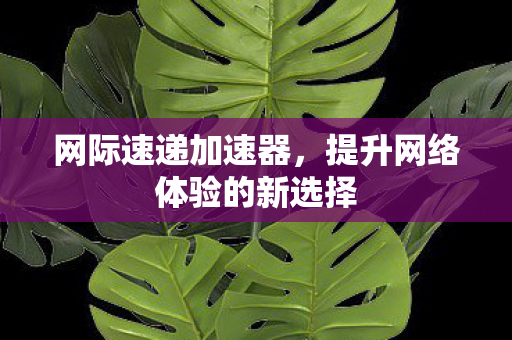 提升网络体验的新选择图片