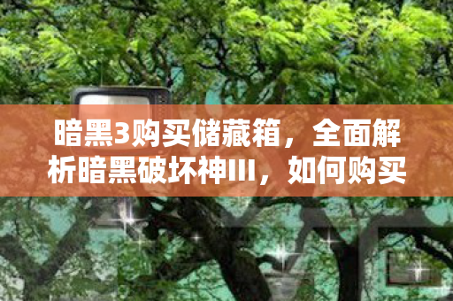 暗黑3购买储藏箱，全面解析暗黑破坏神III，如何购买及游戏体验