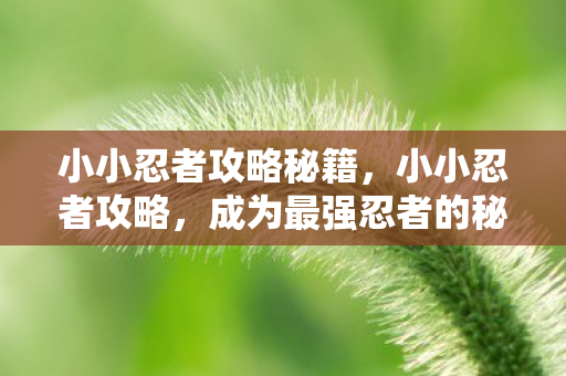 成为最强忍者的秘诀图片