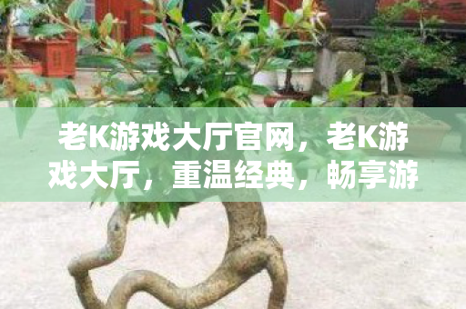 老K游戏大厅官网图片