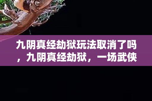 九阴真经劫狱玩法取消了吗图片