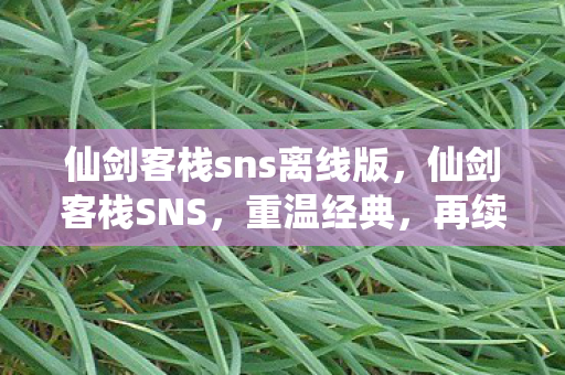 仙剑客栈sns离线版图片