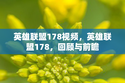 英雄联盟178视频，英雄联盟178，回顾与前瞻