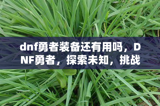 dnf勇者装备还有用吗，DNF勇者，探索未知，挑战极限