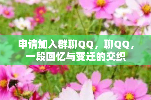 申请加入群聊QQ，聊QQ，一段回忆与变迁的交织