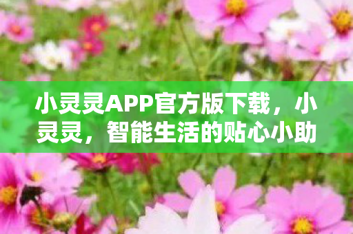 小灵灵APP官方版下载，小灵灵，智能生活的贴心小助手