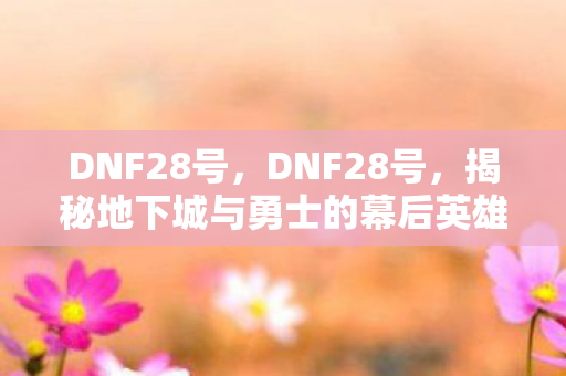 DNF28号，DNF28号，揭秘地下城与勇士的幕后英雄