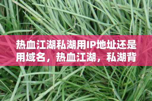 热血江湖私湖用IP地址还是用域名图片