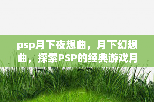 探索PSP的经典游戏月下想曲图片