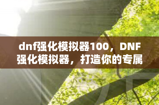 dnf强化模拟器100图片