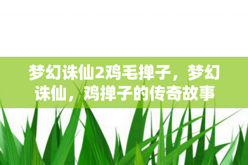 梦幻诛仙2鸡毛掸子图片