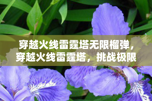 穿越火线雷霆塔无限榴弹图片