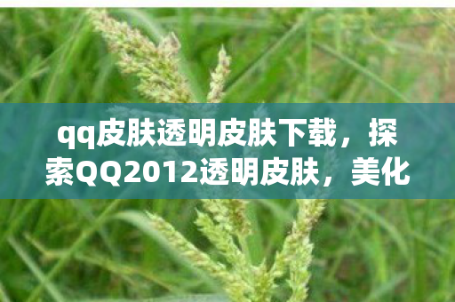qq皮肤透明皮肤下载，探索QQ2012透明皮肤，美化你的聊天体验